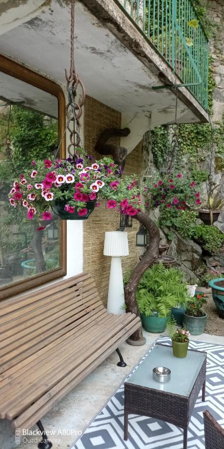 Olliergues Chambre Bounty, B&B, Cuisine Privee, Lit Queen Size, Terrasse, Parking, Garage المظهر الخارجي الصورة